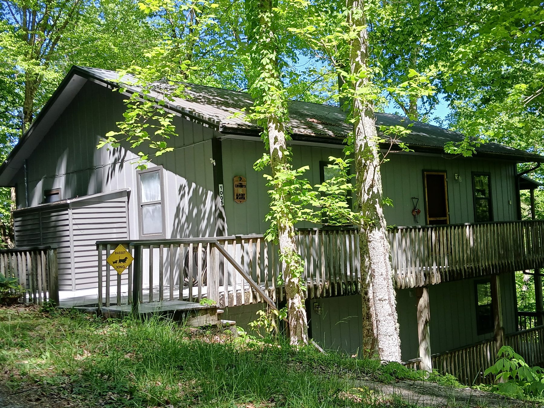 The cabin exterior — green siding, wraparound deck, tucked into the trees