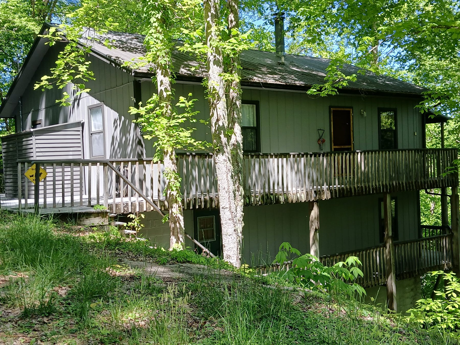 The arrival — cabin nestled in the trees