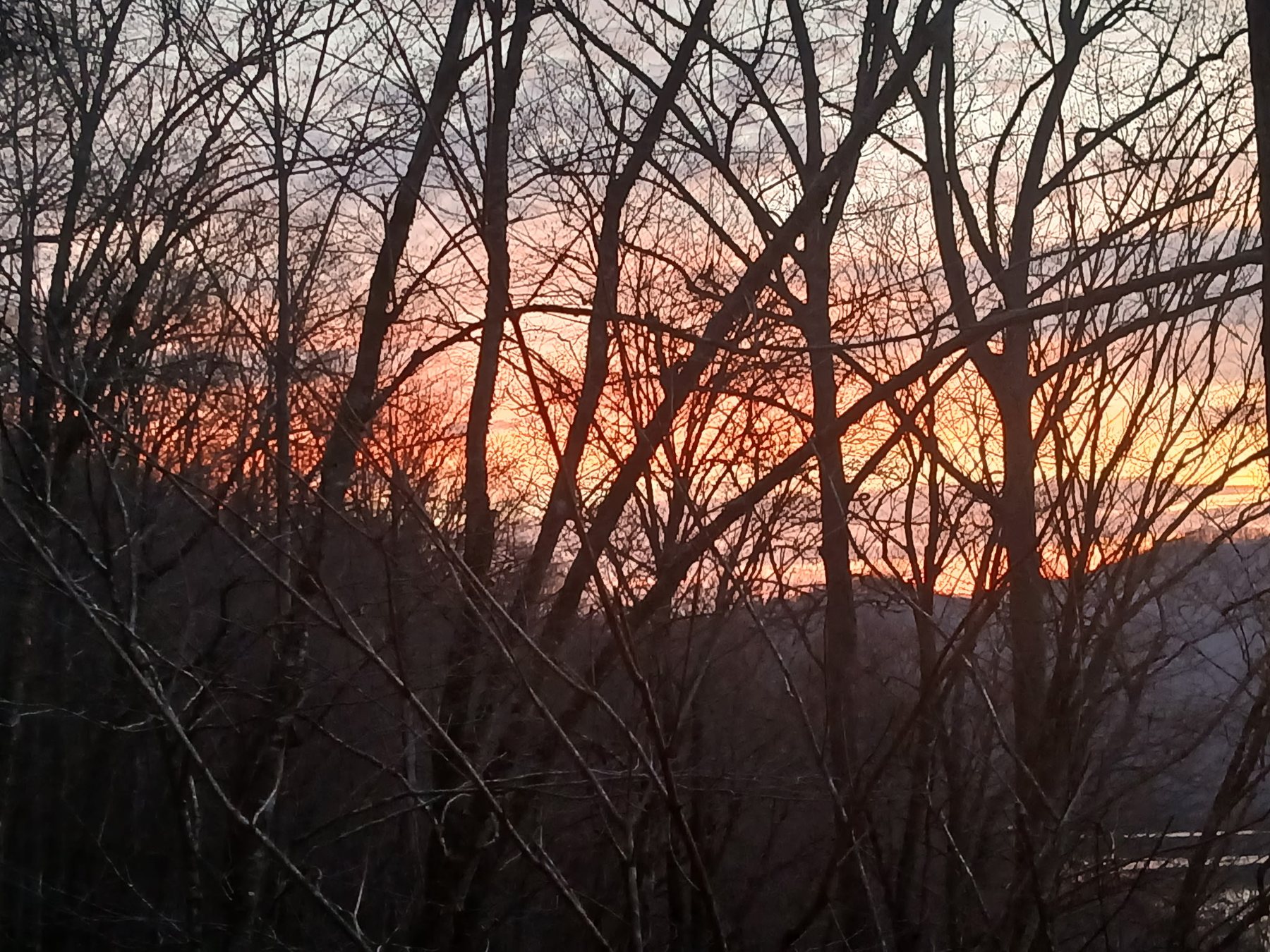Sunset through bare winter trees over the lake